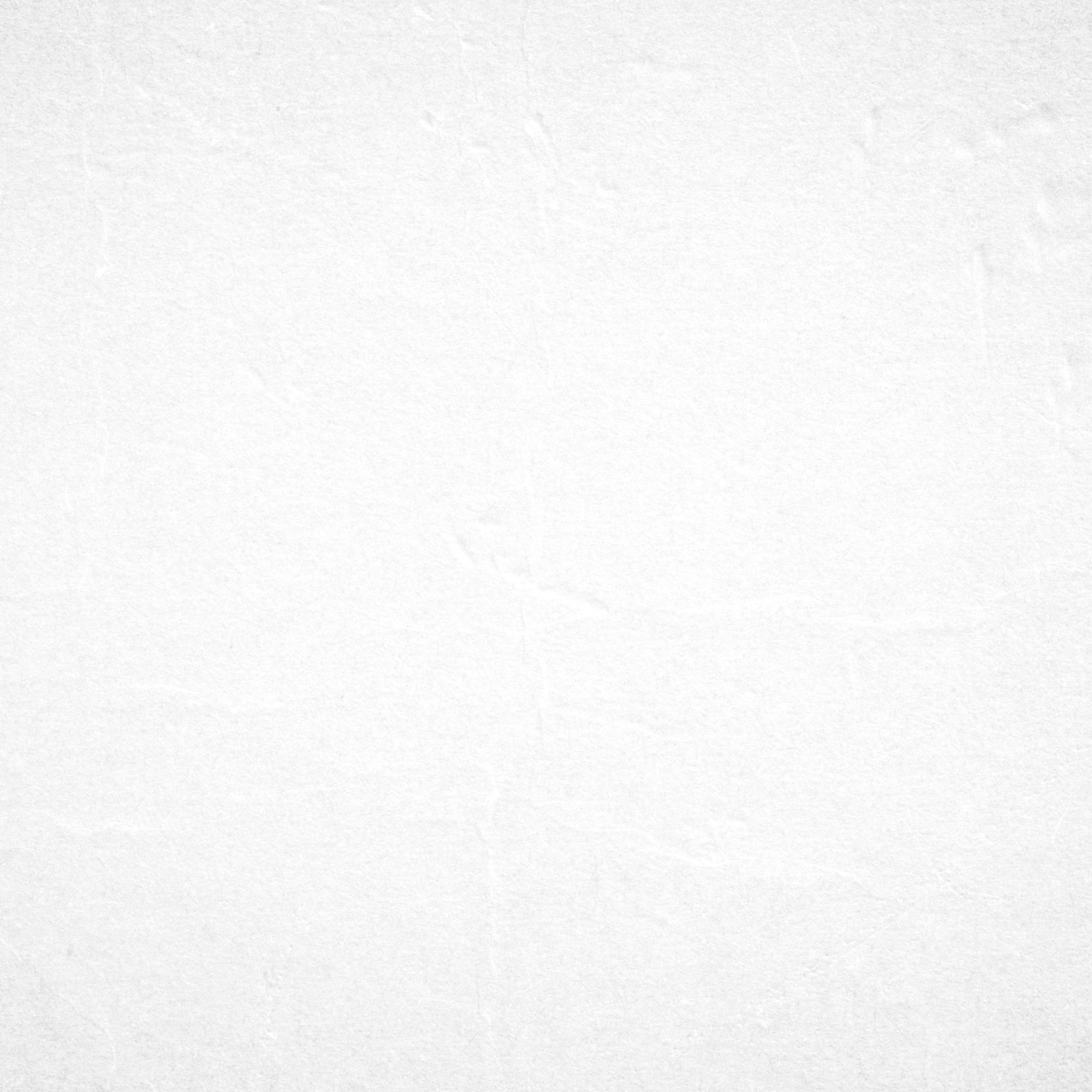 White paper background.